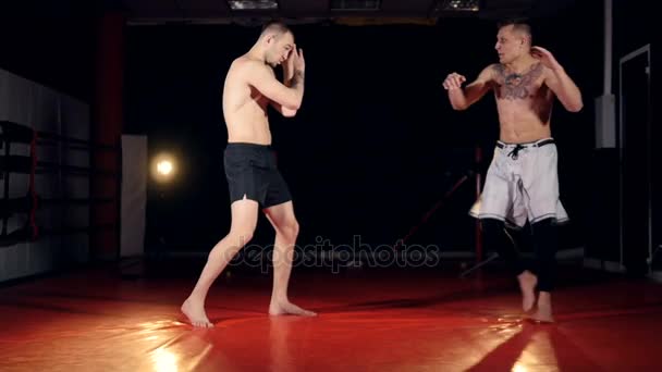 En fighter knackar ner hans assistent med jump kick. — Stockvideo