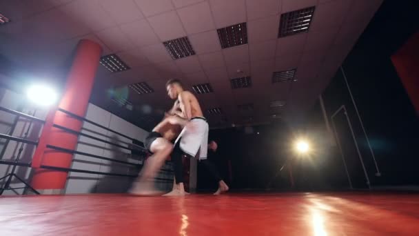 Dva boxeři boje holýma rukama v nízké zobrazení. — Stock video