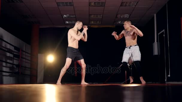 Un luchador derriba a su oponente con una patada bien colocada . — Vídeos de Stock