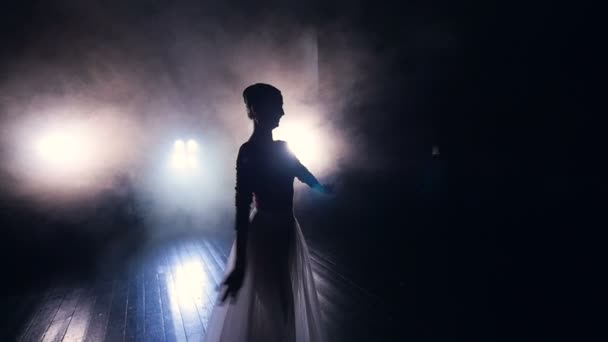 Een dansende ballerina komt uit het donker. — Stockvideo