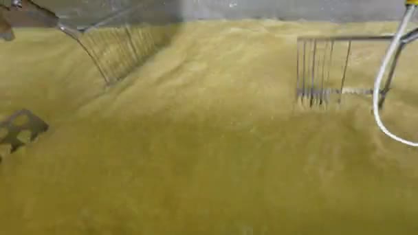 Une vue de dessus sur les agitateurs de lait en mouvement rapide .