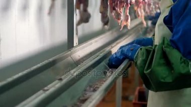 İşçi el iş atmak kanalizasyon hatlarında değerli sakatat için.