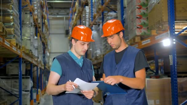 Dos trabajadores de almacén discuten plan de trabajo cerca de bastidores de almacenamiento . — Vídeo de stock