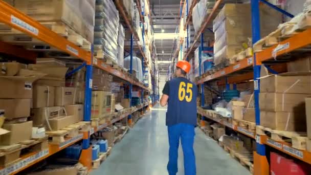 Een magazijnmedewerker in een helm inspecteert de lading. — Stockvideo