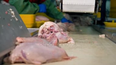 Bir ambalaj konveyör ile tavuk göğsü otomatik olarak eklendi.