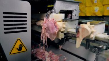 Makine deboning sırasında tavuk göğsü kapaklar.