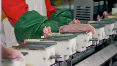 Tavuk fileto ile tepsi taşıma yakından görmek.