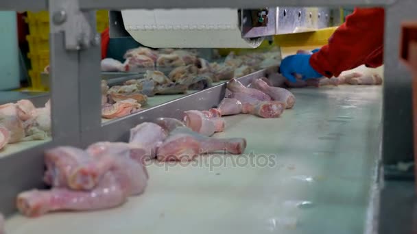 Chicken drums removed from a conveyor belt. — Stock Video