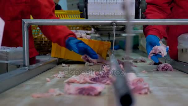 Los trabajadores buscan buenos trozos de carne de pollo . — Vídeo de stock