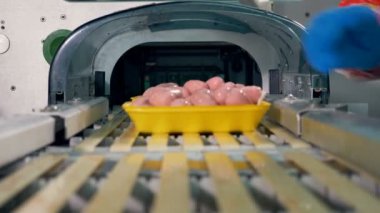 İşçiler tepsileri ile sosis sarma satıra yerleştirin..