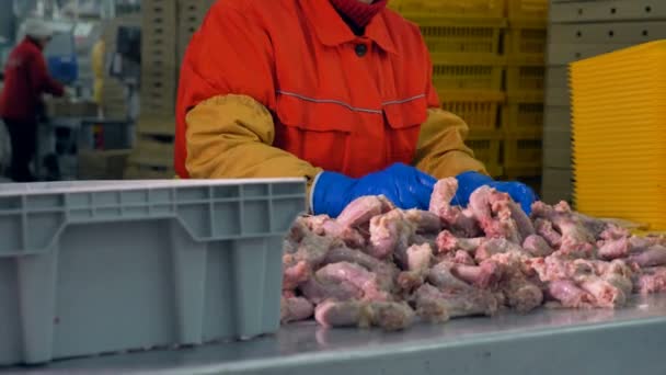 Un trabajador empaca cuellos de pollo en bandejas amarillas . — Vídeo de stock