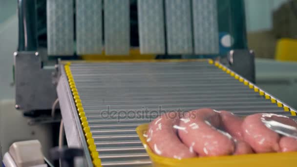 Hühnerwurst verlässt die Verpackungslinie. — Stockvideo