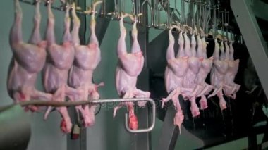 Tavuk leşleri bir çamaşır odası bırak.