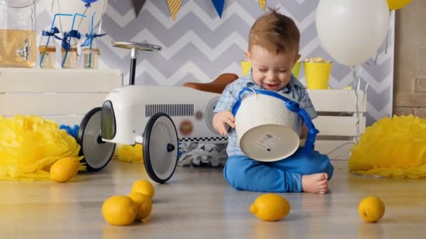 A toddler plays with lemons and tries to bite them. — Stock Video