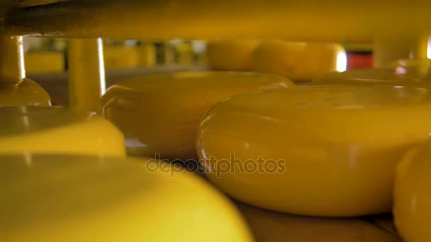 Gele wax kaas velgen in opslag. — Stockvideo