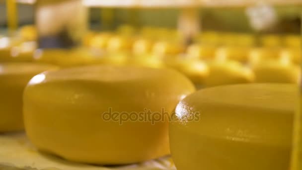 Queso brillante y brillante cubierto de cera amarilla . — Vídeos de Stock