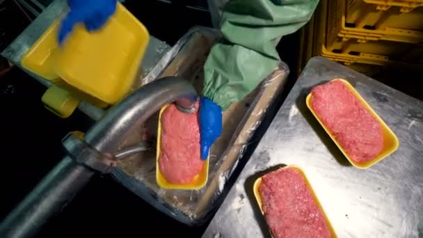 Een bovenaanzicht op gehakt vlees verpakking proces. — Stockvideo
