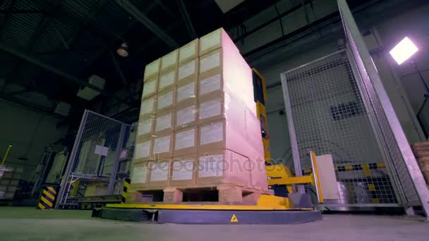Autpmated stroj obtékání kontejner, krabice s průhlednou pásku. 4k. — Stock video