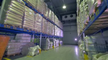 Birçok Raflarla büyük depo. Ambar iç. 4k.