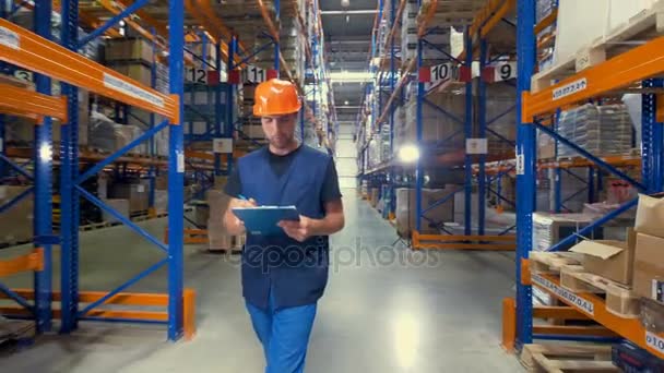 Un ouvrier d'entrepôt compte les marchandises stockées . — Video