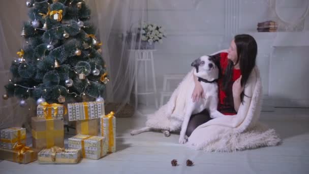 Öpüşme ve Noel ağacı yakınındaki husky köpek ile oynayan kız. — Stok video