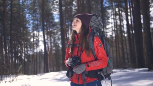 Счастливая молодая женщина в зимнем лесу фотографирует с помощью фотокамеры . — стоковое видео