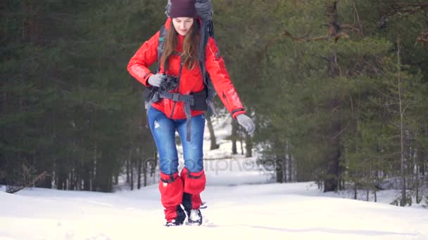 Kış ormanda yürüyüş çekici kadın uzun yürüyüşe çıkan kimse. — Stok video