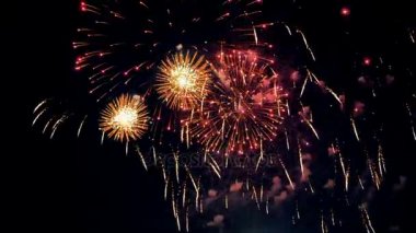 Tatil kutlaması, renkli havai fişek. 4k.