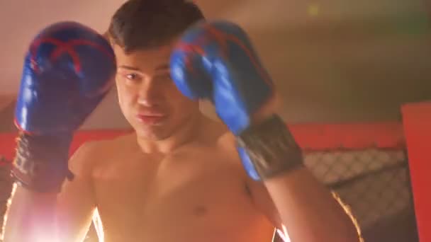 シャドー ボクシングの訓練の後ろにスポット ライトで暗闇の中で若い男は。4 k. — ストック動画