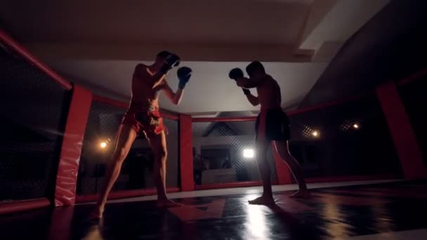 Lutadores de MMA no anel octogonal para lutas . — Vídeo de Stock