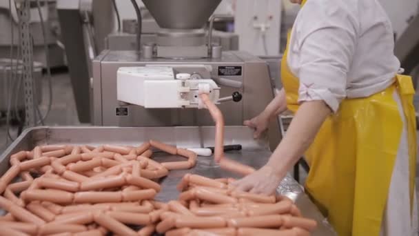 Production of sausages in the meat industry. — Stock Video