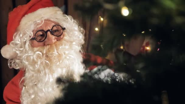 Santa Claus decoreren Nieuwjaar boom. 4k. — Stockvideo