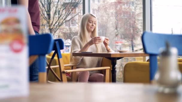 Concepto Paypass. Mujer hacer un pago con el teléfono inteligente. 4K . — Vídeos de Stock