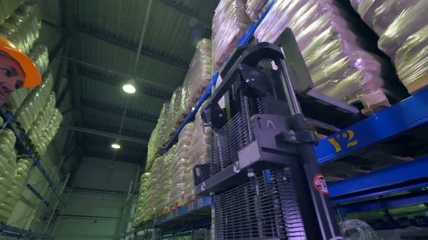 Bir rafa kaldırılmış kargo Palet taşıma istifler çatal.