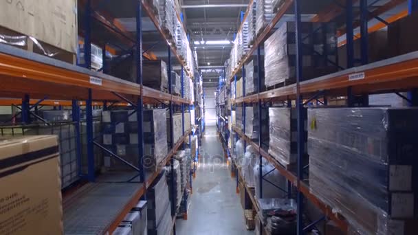 Egy hatalmas raktárban létesítmény nyúlik burkolt raklapok. — Stock videók