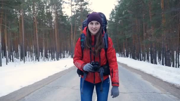 Os turistas caminham na floresta . — Vídeo de Stock