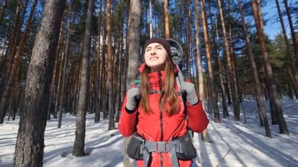 Щасливий турист з рюкзаком дихає свіжим повітрям. Успіх, натхнення, перемога, концепція мотивації. HD-відео . — стокове відео