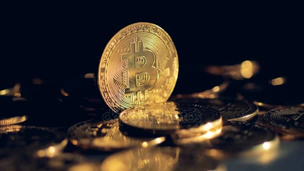 Sebuah bitcoin emas tunggal berdiri di antara banyak koin lainnya . — Stok Video