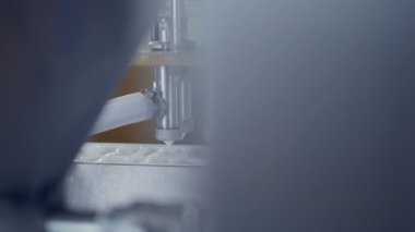 Modern üretim tesislerinde kutular içine Konveyör bant dökme ekşi krema. Ekşi krema üretim.