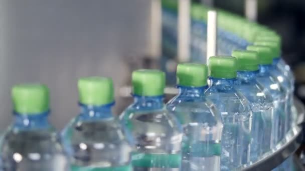 Wasserflaschen mit grünen Verschlüssen. — Stockvideo