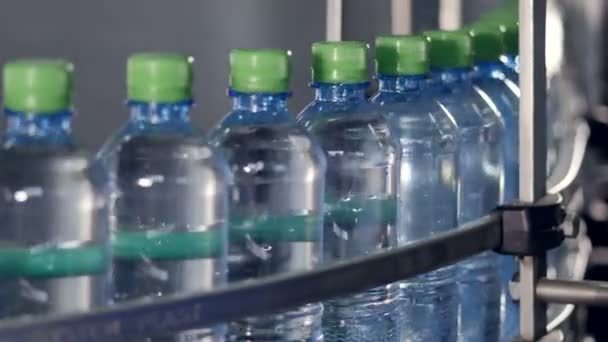 Un nastro trasportatore pieno di bottiglie riempite e tappate . — Video Stock