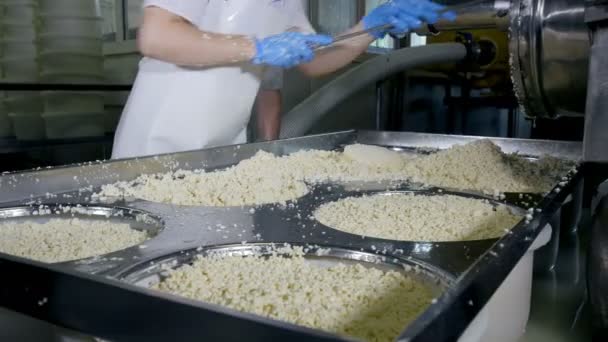 Παραγωγή τυριού. Επαγγελματικά εργαζομένων που κάνουν την δουλειά τους στο τυρί εργοστάσιο. — Αρχείο Βίντεο