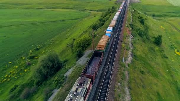 Diversi vagoni merci che si spostano sopra una linea ferroviaria . — Video Stock