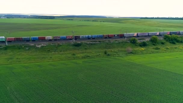 Un largo tren de mercancías que se mueve entre campos verdes . — Vídeo de stock