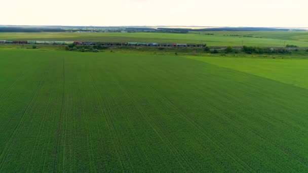 Campos verdes de verano con un tren de carga moviéndose a través de ellos . — Vídeo de stock