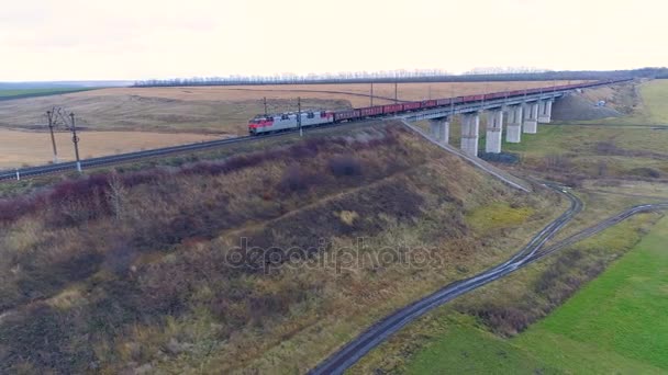 Ett godståg korsar en bro på betongpelare. — Stockvideo