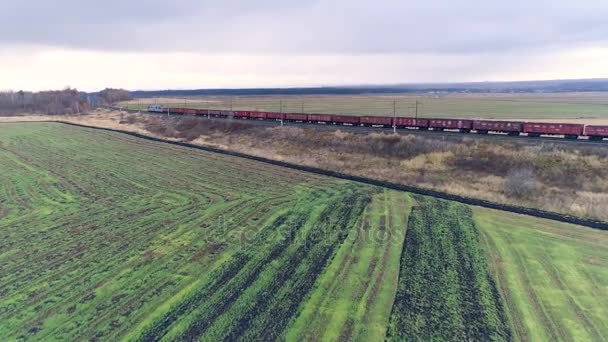 Ein Güterzug fährt am Gleis entlang und verschwindet in den Bäumen. — Stockvideo