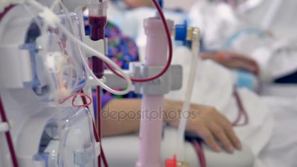 Female patient hand giving blood. Blood transfusion concept. — Stock Video