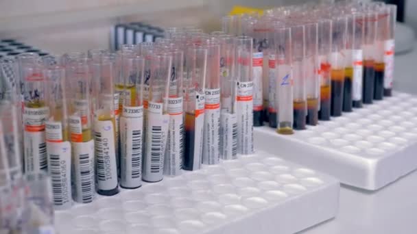 Tubos de amostras de sangue em bandejas. 4K . — Vídeo de Stock