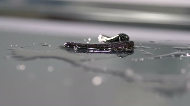 Two leeches lying in water drops. — Stock Video